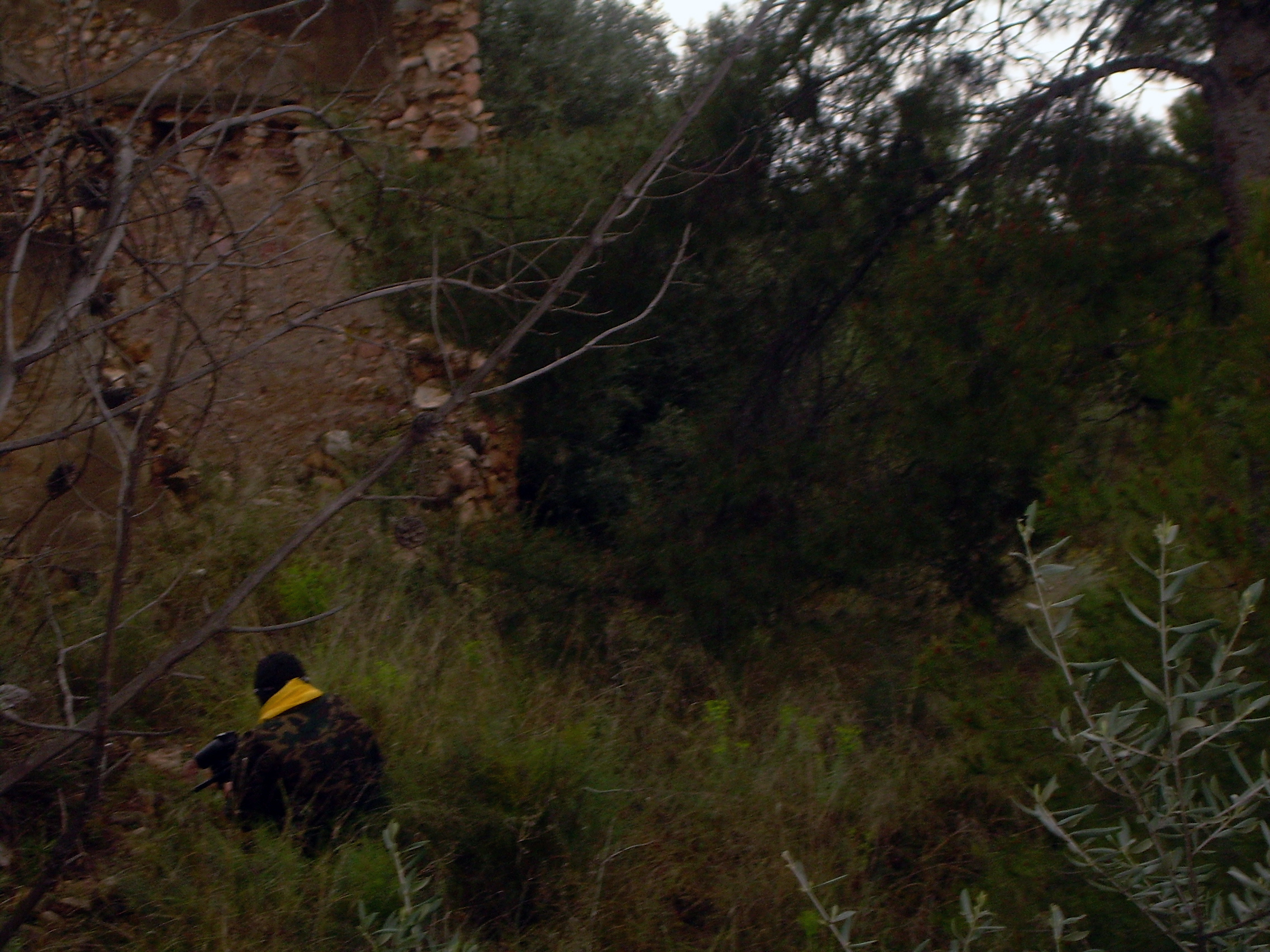 Fotografía DSCN0539 en el álbum Ribesalbes 2007
